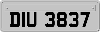 DIU3837