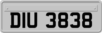 DIU3838