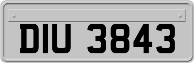 DIU3843