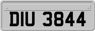DIU3844