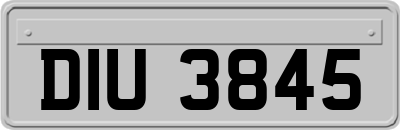 DIU3845