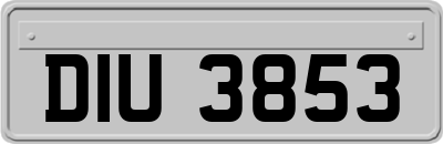 DIU3853