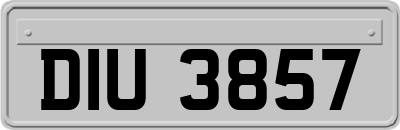 DIU3857
