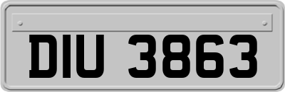 DIU3863