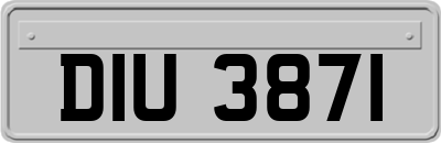 DIU3871