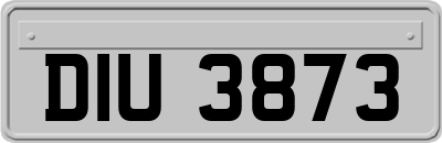 DIU3873