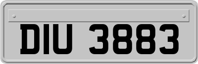 DIU3883