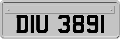 DIU3891