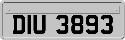 DIU3893