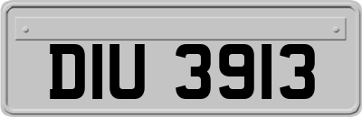 DIU3913