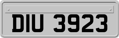DIU3923