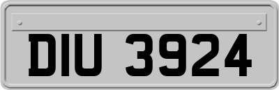 DIU3924