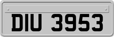 DIU3953