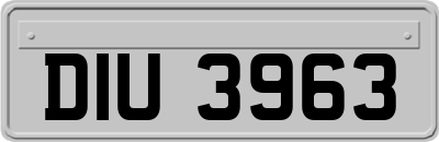 DIU3963