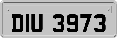 DIU3973