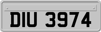 DIU3974