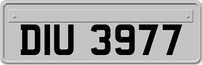 DIU3977