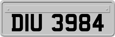 DIU3984