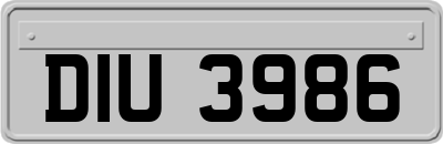 DIU3986