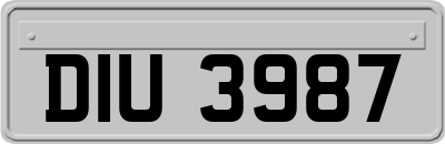 DIU3987