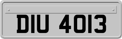 DIU4013