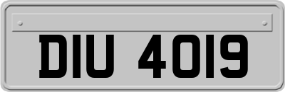 DIU4019
