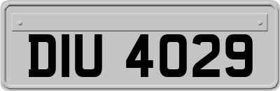 DIU4029