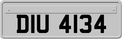 DIU4134