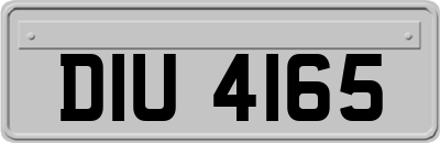 DIU4165