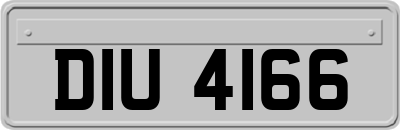 DIU4166