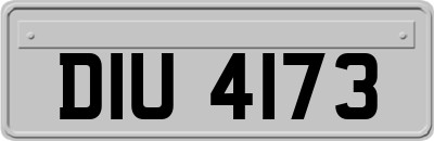 DIU4173
