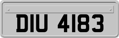 DIU4183
