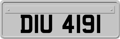 DIU4191