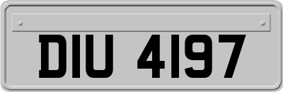 DIU4197