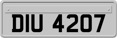 DIU4207