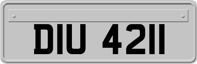 DIU4211