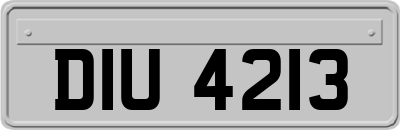 DIU4213