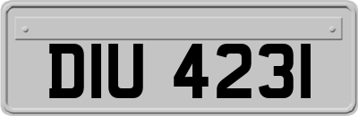 DIU4231