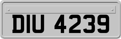 DIU4239
