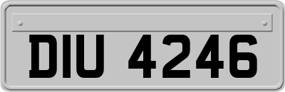 DIU4246