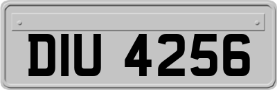 DIU4256