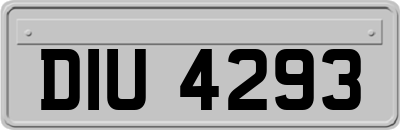 DIU4293