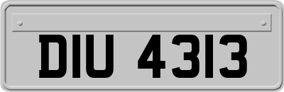DIU4313