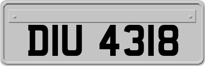 DIU4318