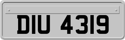 DIU4319