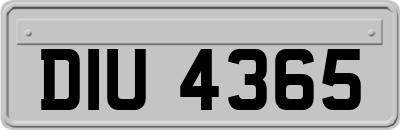 DIU4365