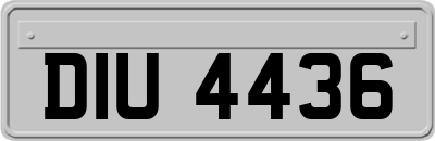DIU4436