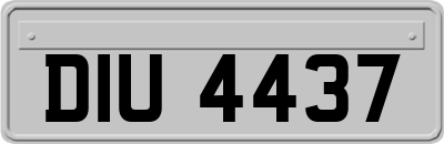 DIU4437