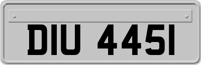 DIU4451
