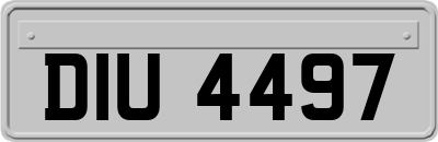 DIU4497
